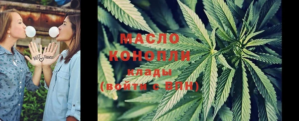 соль ск Верхний Тагил