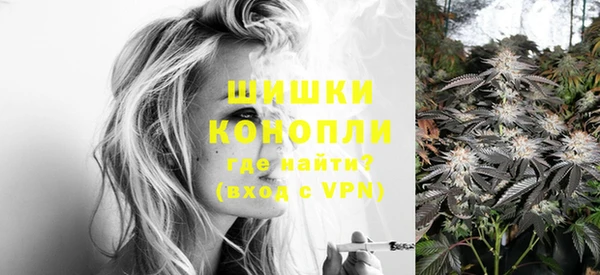 соль ск Верхний Тагил